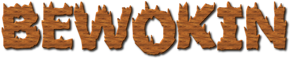 BEWOKIN